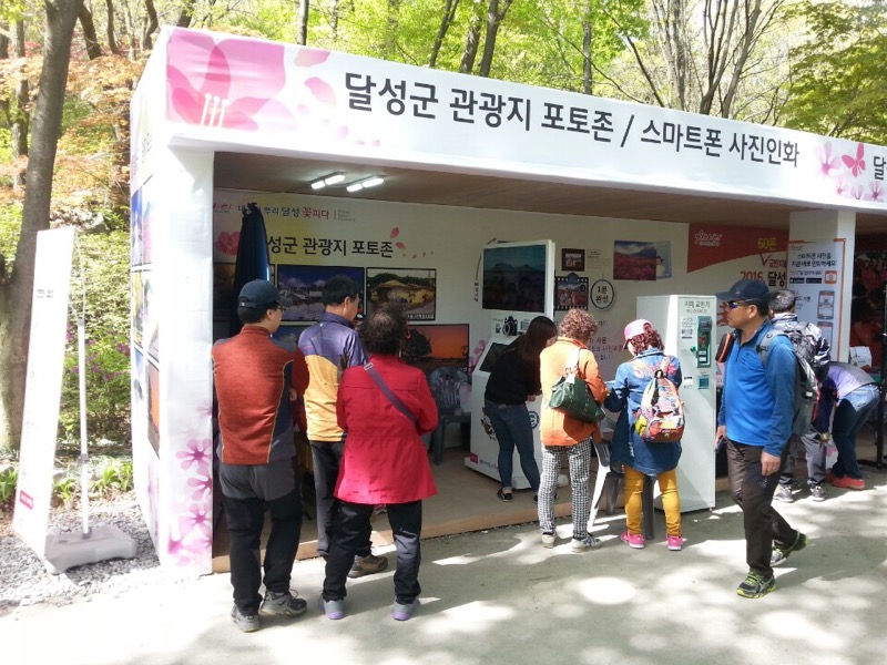 비슬산 참꽃축제 셀픽